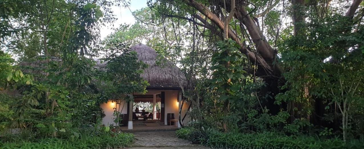 Amun Ini Beach Resort & Spa Anda  Eksteriør billede
